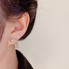 This octagonal star earring, featuring the same slightly set zircon earrings as Japanese and South Korean Internet celebrities, is a stylish and elegant design This octagonal star earring, featuring the same slightly set zircon earrings as Japanese and South Korean Internet celebrities, is a stylish and elegant design